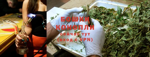 эйфоретик Новодвинск