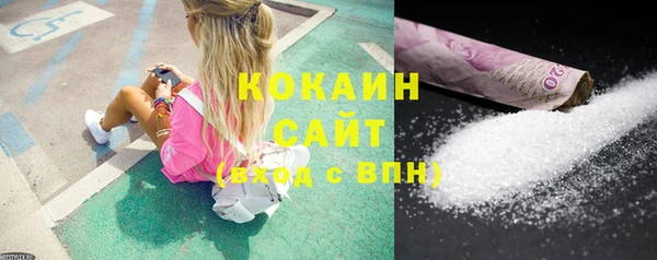 соль ск Новозыбков