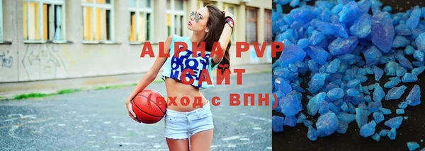соль ск Новозыбков