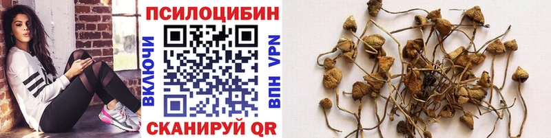 Галлюциногенные грибы мухоморы  дарнет шоп  Орёл 